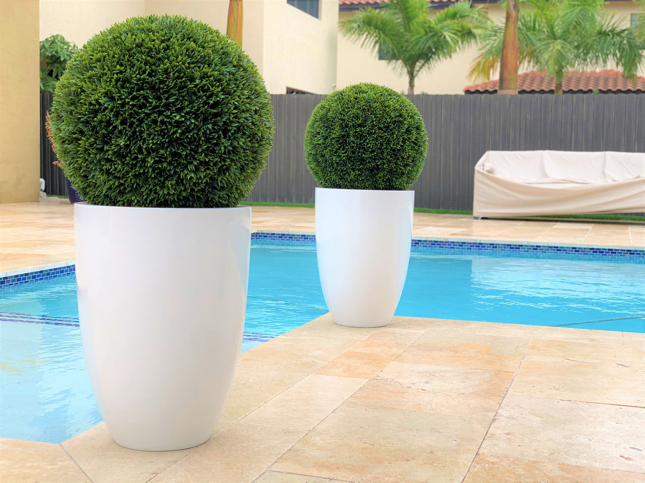 Ben L Fiberglass with 20″ Topiary