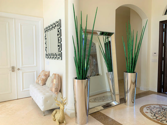 Polished Stainless Steel Large Cone with Large Snake Grass Plant