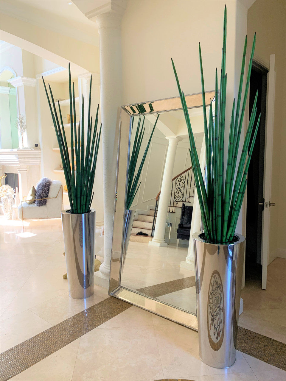 Grand cône en acier inoxydable poli avec grande plante d'herbe de serpent