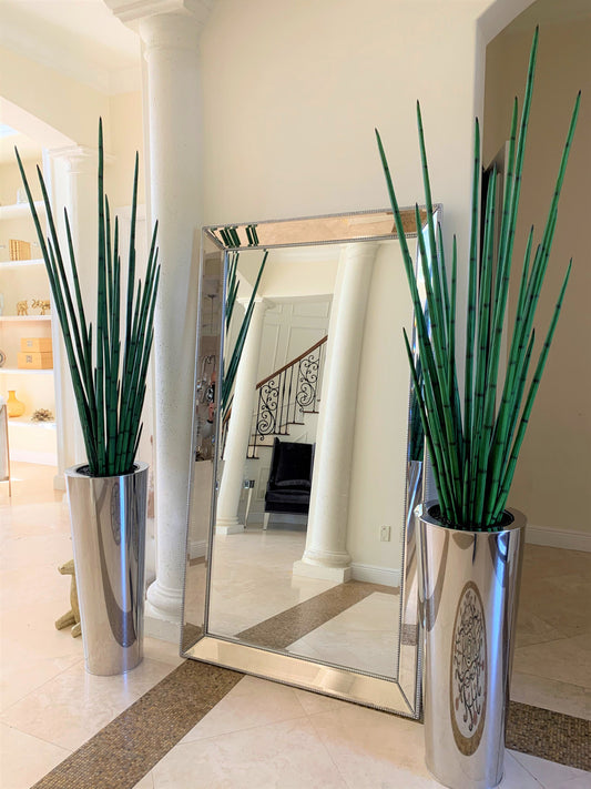 Polished Stainless Steel Large Cone with Large Snake Grass Plant