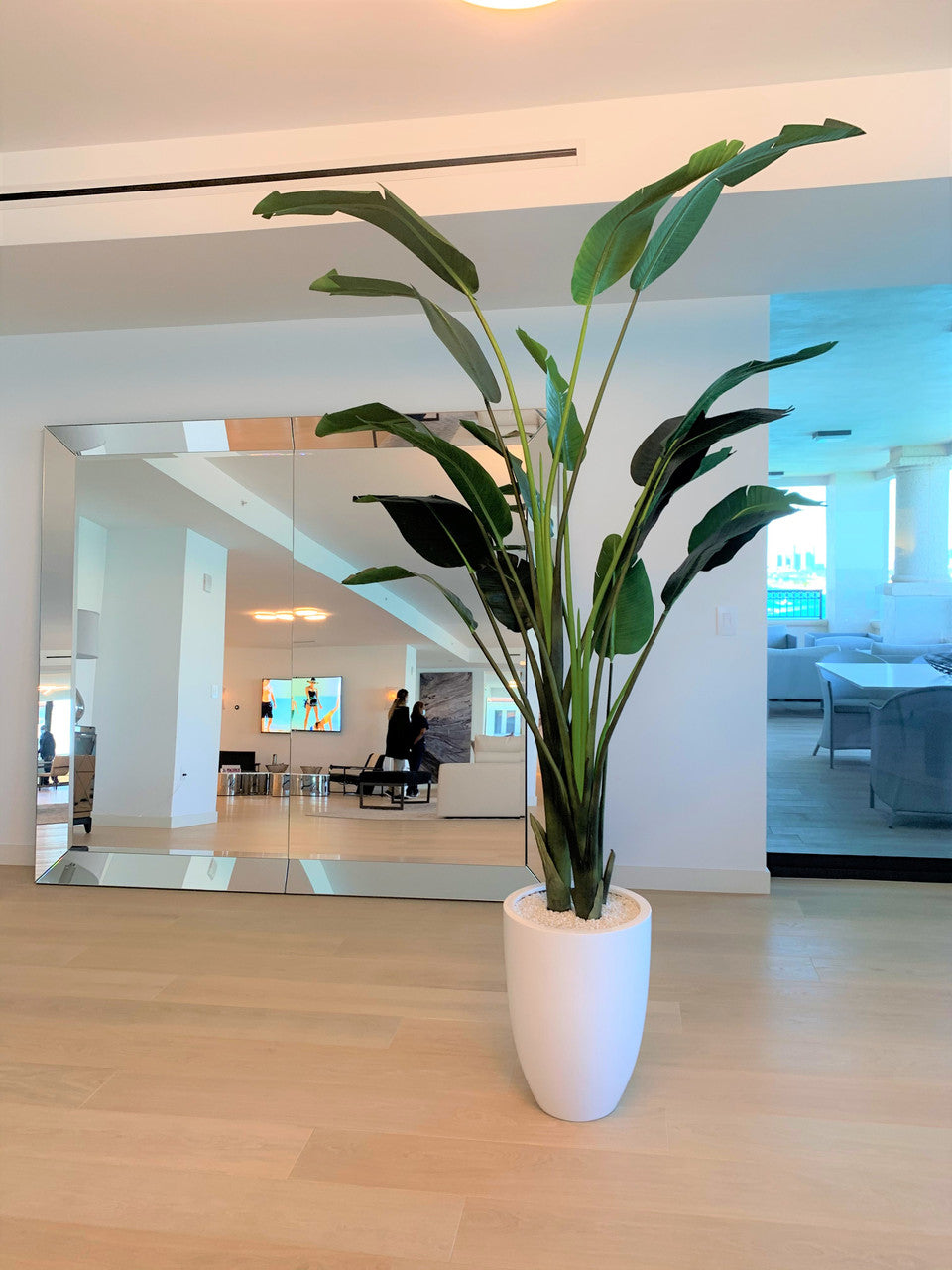 9 ft Bird of Paradise  with Ben Planter in Glossy White