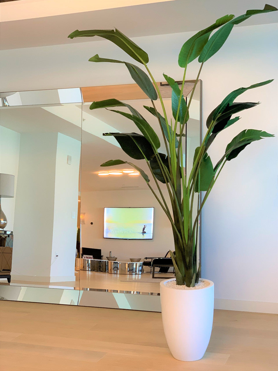 9 ft Bird of Paradise  with Ben Planter in Glossy White