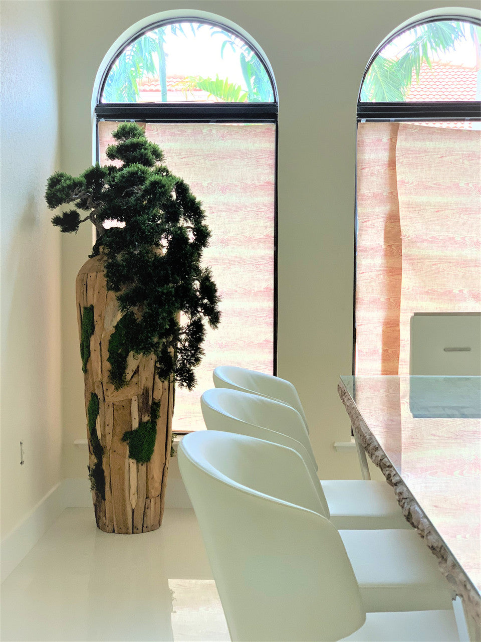 Extra Large Trailing Cedar Bonsai on One-of-a-Kind Teak Planter