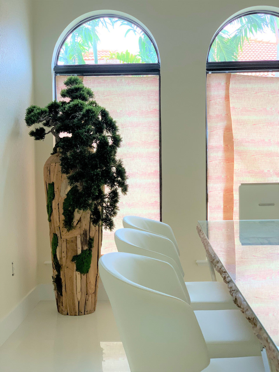 Extra Large Trailing Cedar Bonsai on One-of-a-Kind Teak Planter