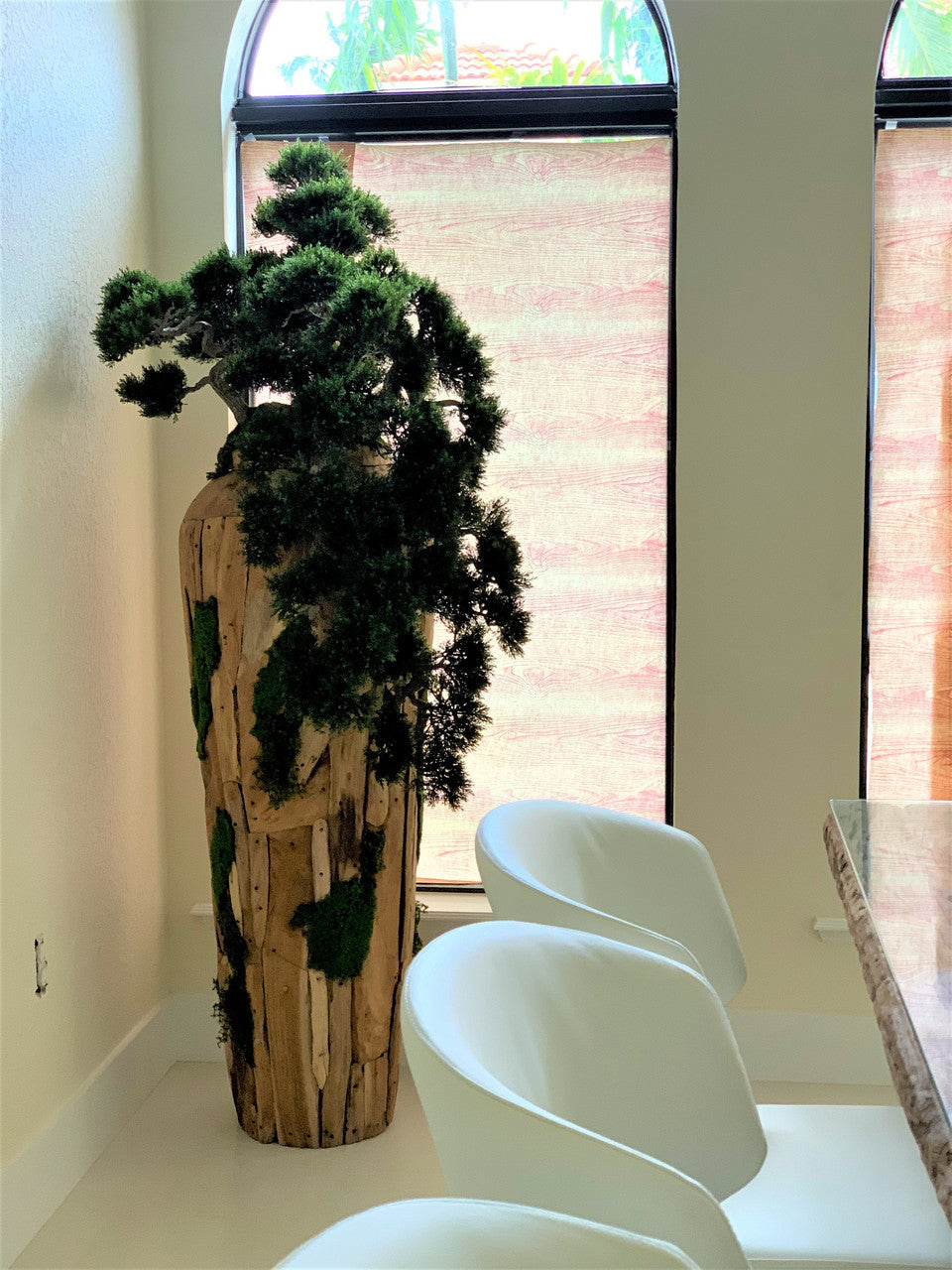 Extra Large Trailing Cedar Bonsai on One-of-a-Kind Teak Planter