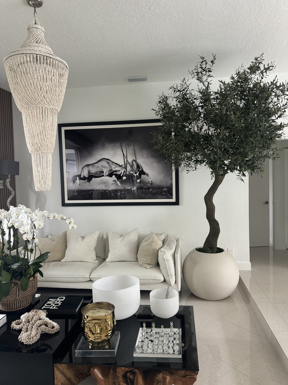7′ Olive Tree in Matte Beige 30″ Globe Planter