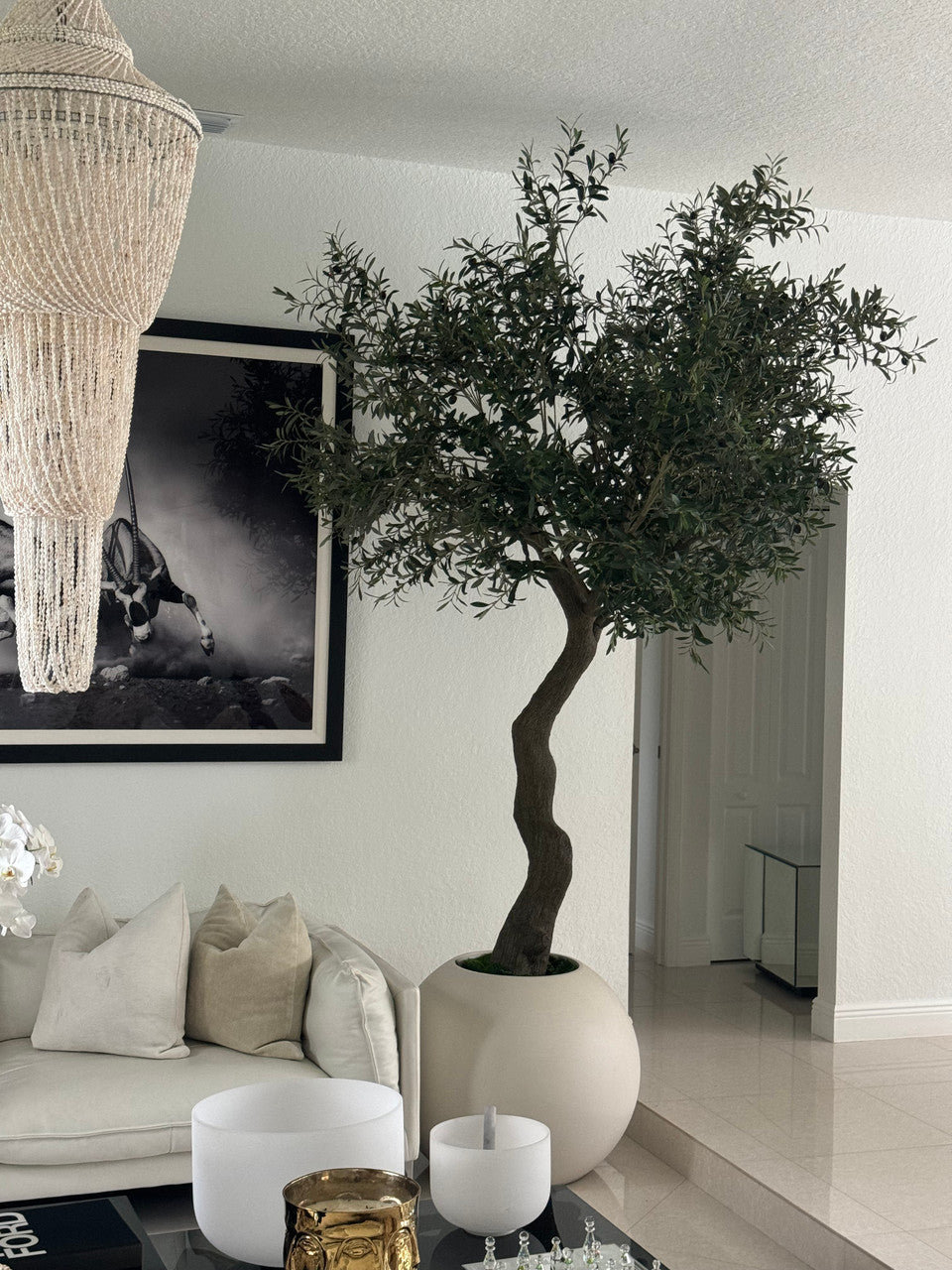 7′ Olive Tree in Matte Beige 30″ Globe Planter