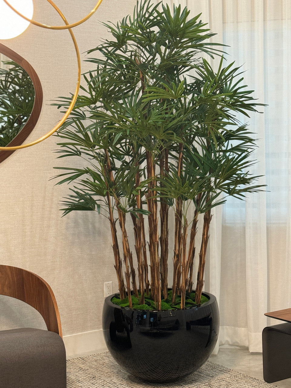 Black Terragona Planter with Lady Palm