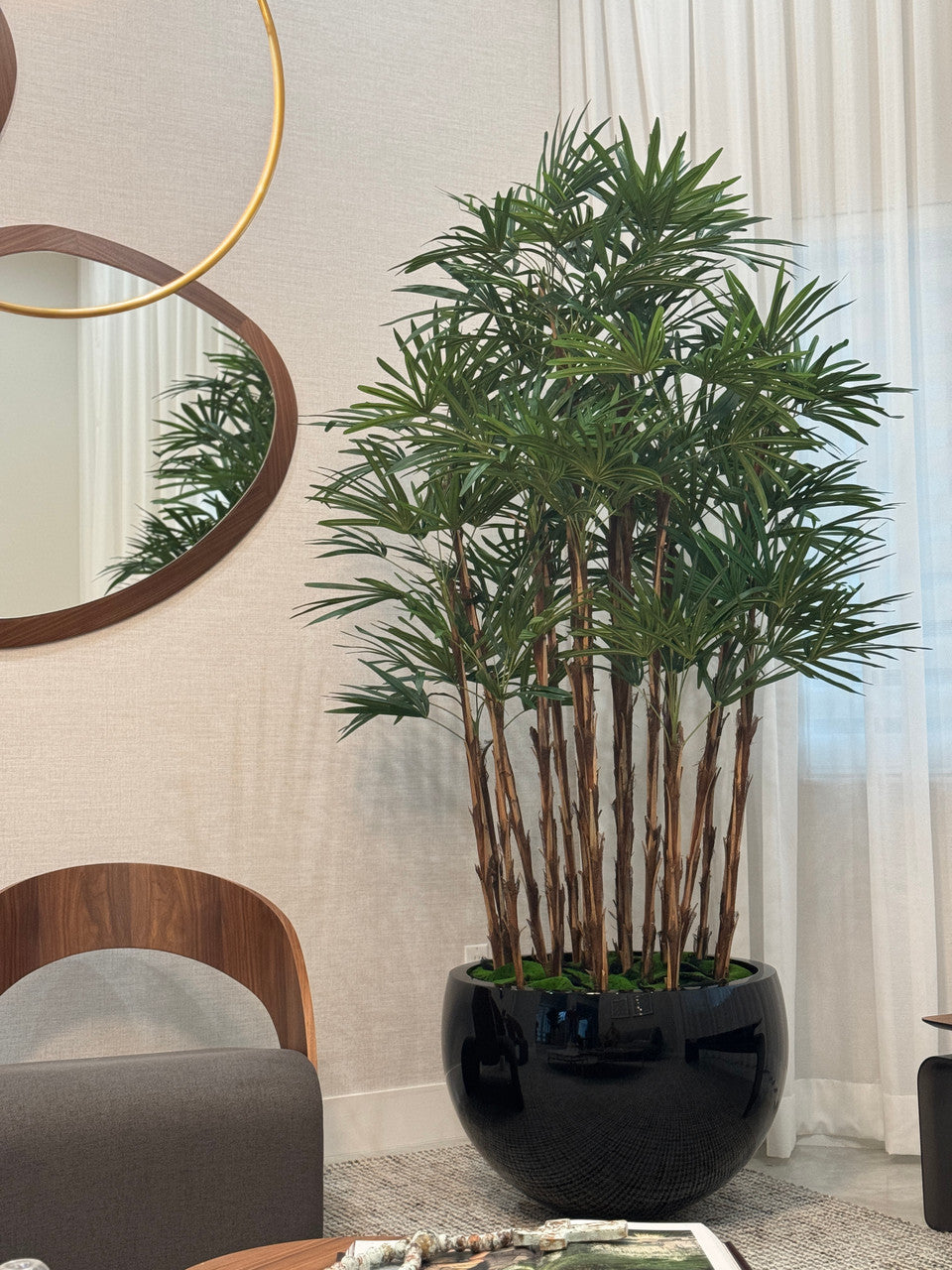 Black Terragona Planter with Lady Palm