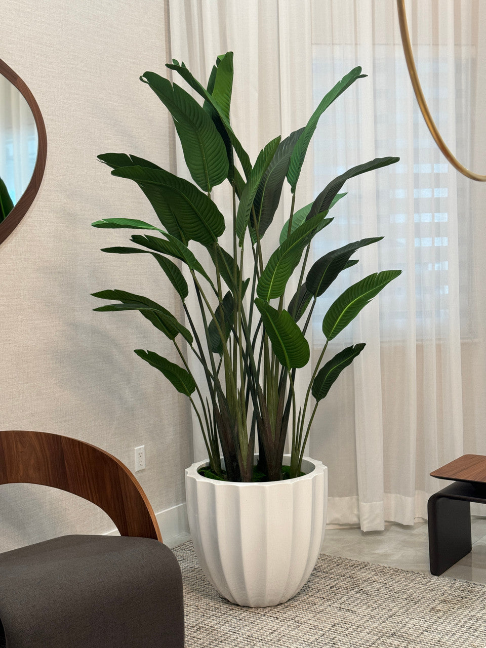 Santa Barbara Planter with Bird of Paradise