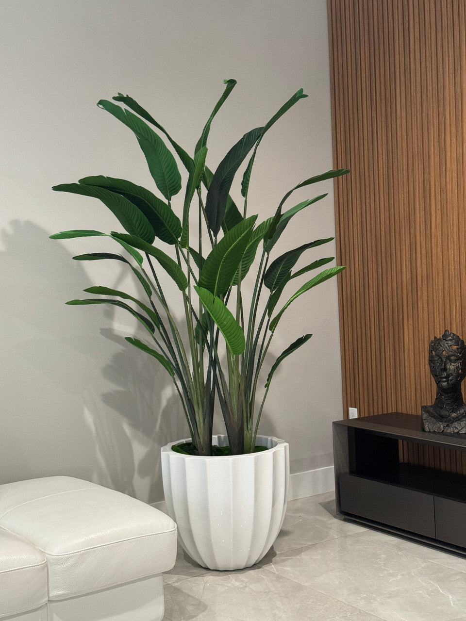 Santa Barbara Planter with Bird of Paradise
