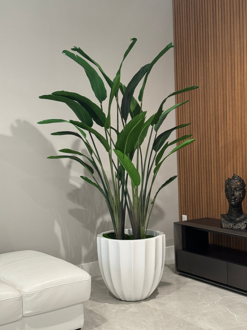 Santa Barbara Planter with Bird of Paradise