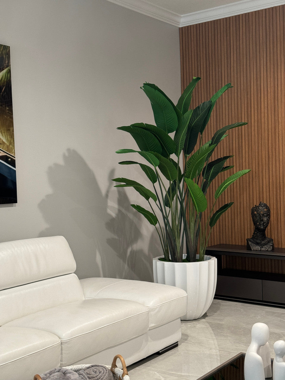Santa Barbara Planter with Bird of Paradise