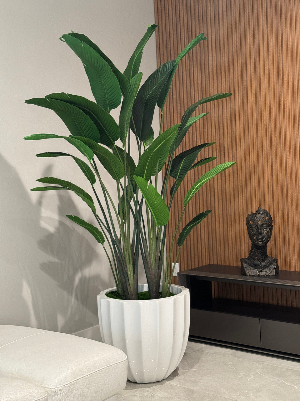 Santa Barbara Planter with Bird of Paradise