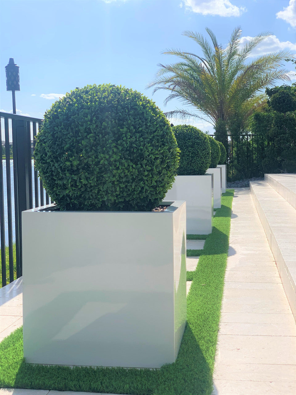 Jardinière en fibre de verre grand bloc avec topiaire de 20 po (1 en stock)