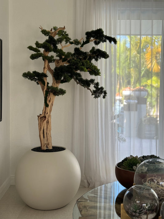 Trailing Bonsai in 30″ Satin Beige Globe
