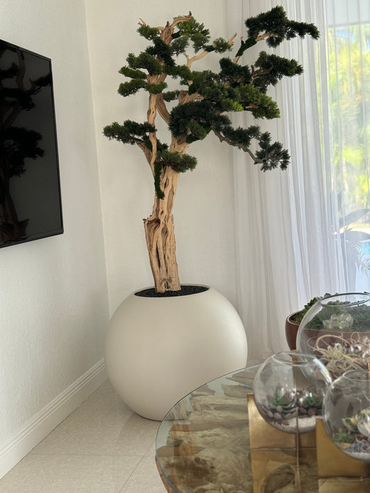 Trailing Bonsai in 30″ Satin Beige Globe