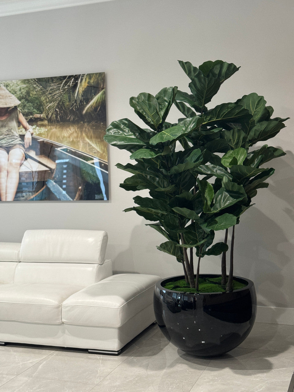 Jardinière noire Terragona avec figuier lyre