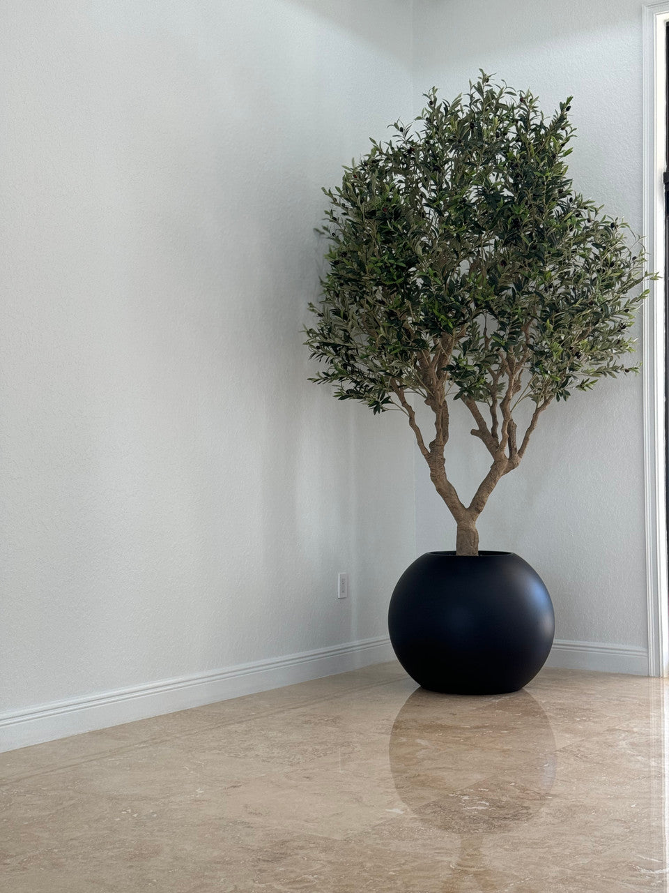 Olive Tree in Matte Black 30″ Globe Planter