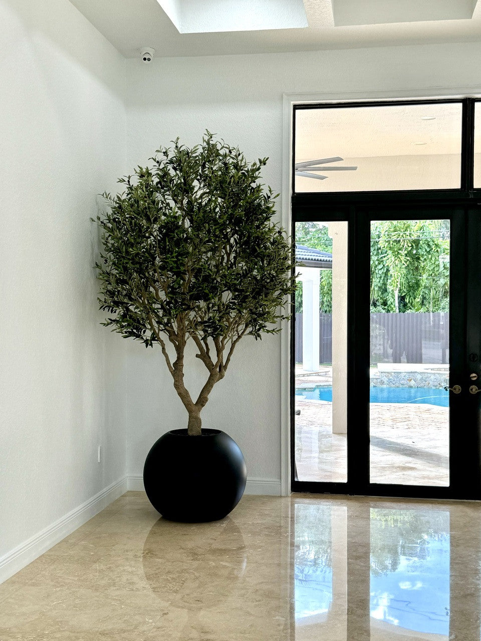 Olive Tree in Matte Black 30″ Globe Planter