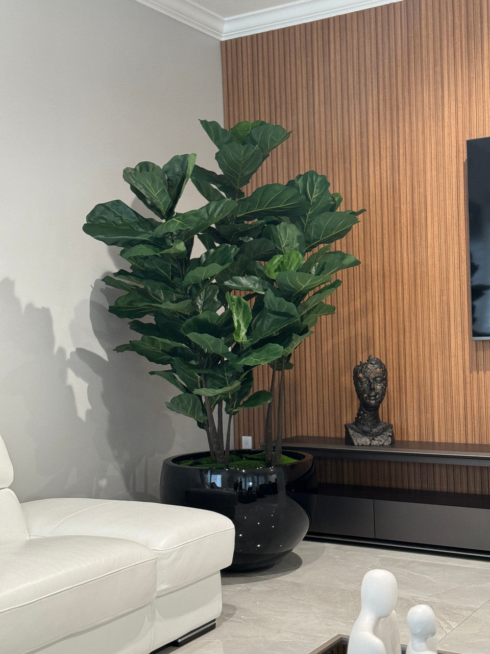 Jardinière noire Terragona avec figuier lyre