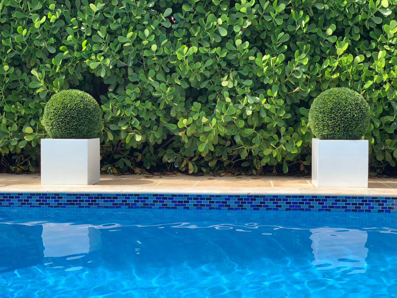 Medium Block Fiberglass Planter with 20″ Topiary