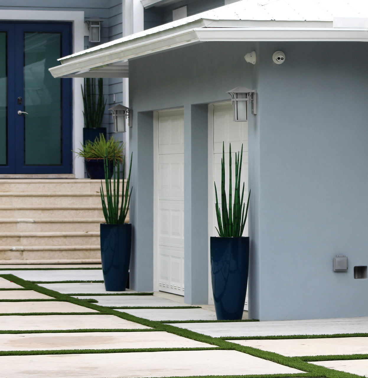 Snake grass (4 ft) with Dax L planter in dark teal