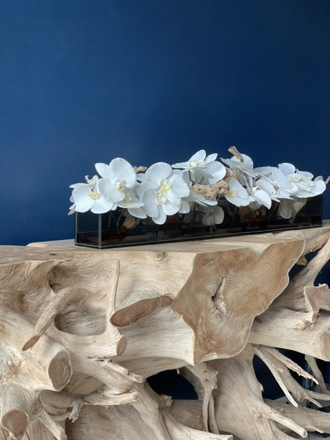 Jardinière 48″ Casa Moderna en verre teinté noir avec orchidées Phalaenopsis blanches