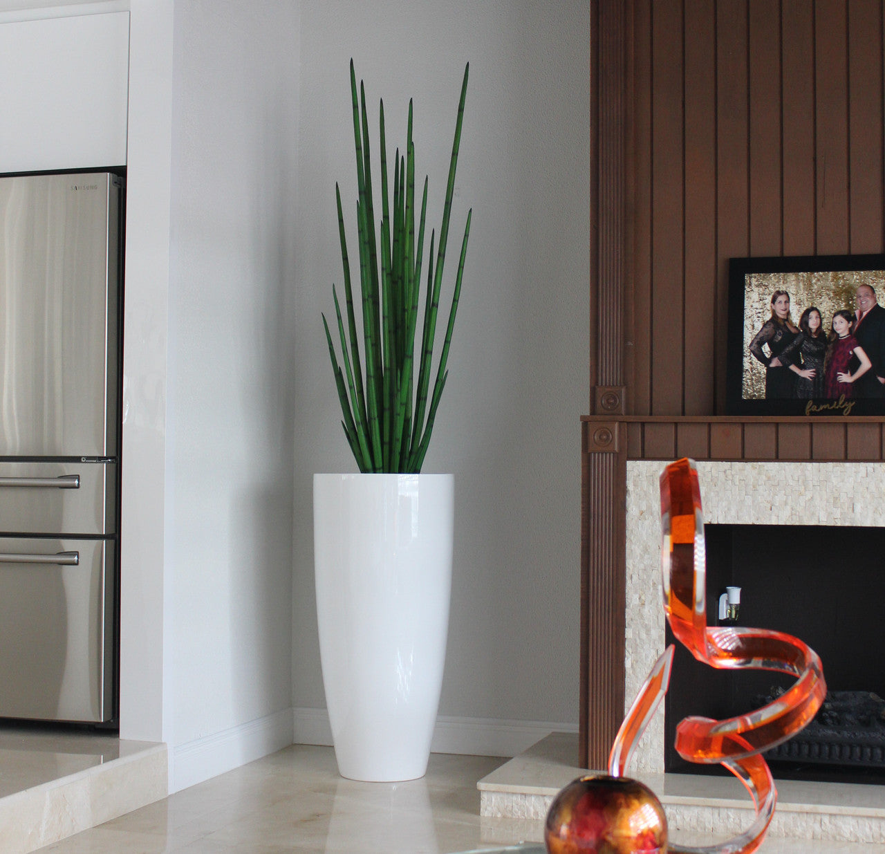 Snake grass (63″) with Dax XL planter in glossy white