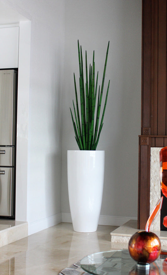 Snake grass (63″) with Dax XL planter in glossy white