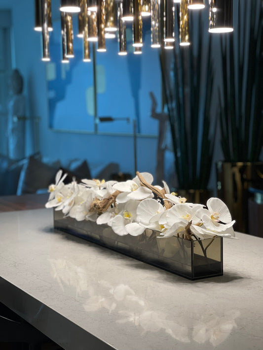Jardinière 48″ Casa Moderna en verre teinté noir avec orchidées Phalaenopsis blanches