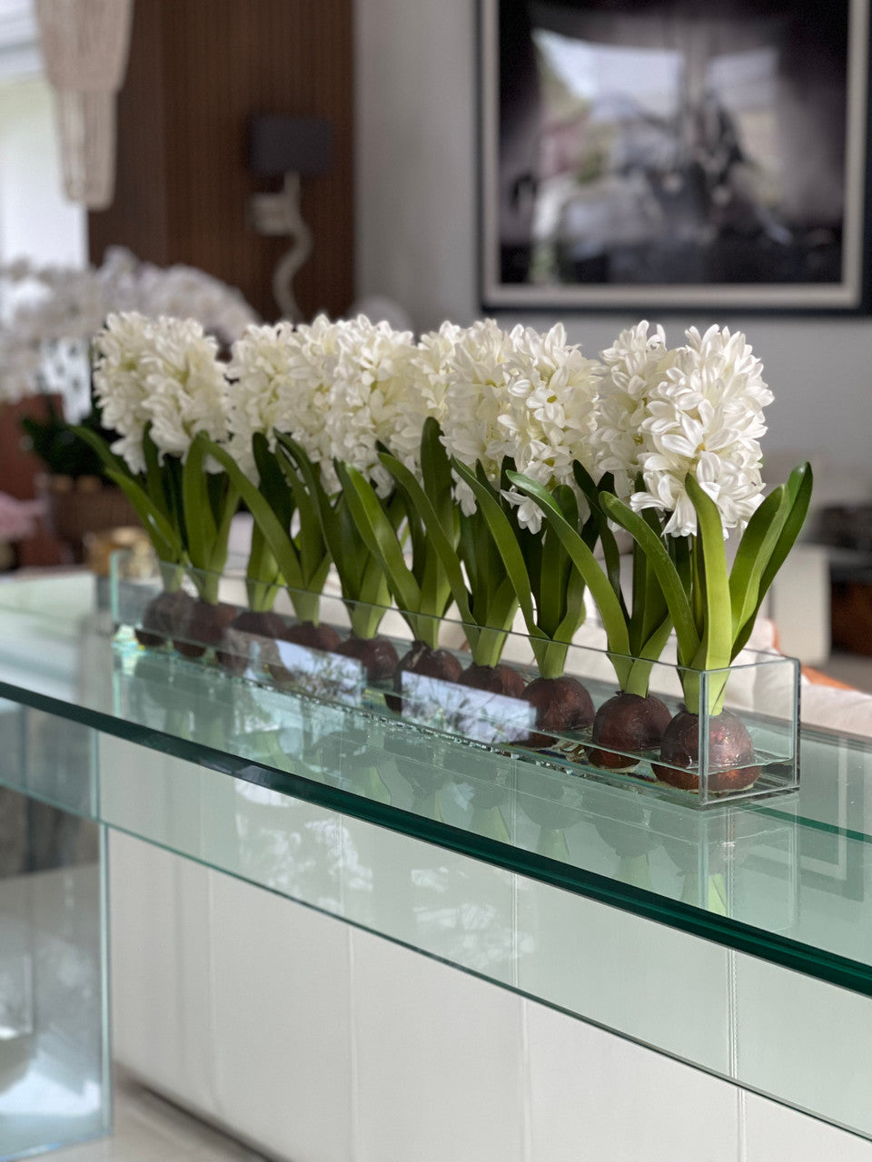 Jardinière Casa Moderna en verre de 36 po avec jacinthes blanches