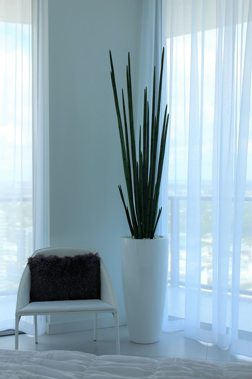 Snake grass (63″) with Dax L planter in glossy white
