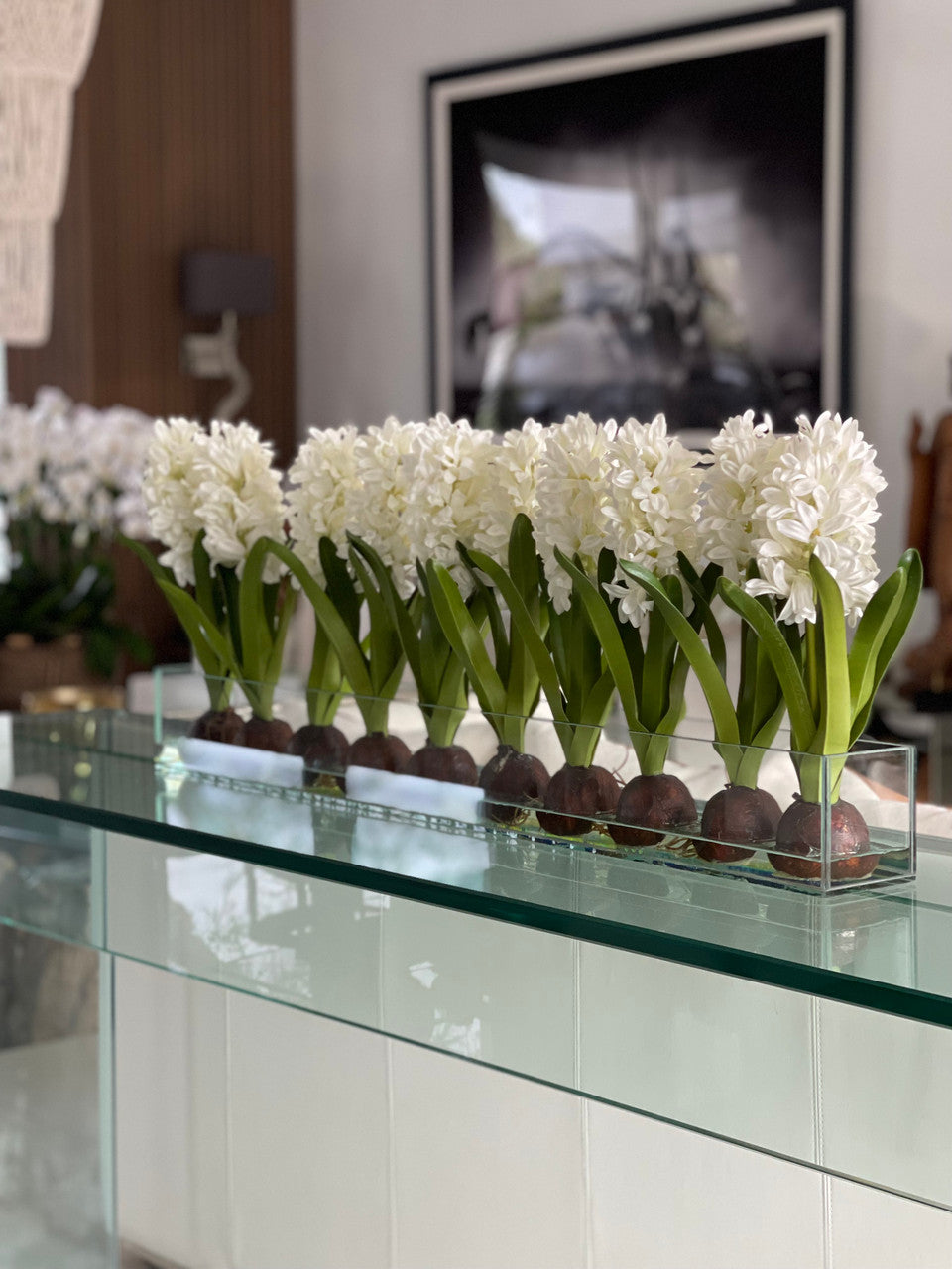 Jardinière Casa Moderna en verre de 36 po avec jacinthes blanches