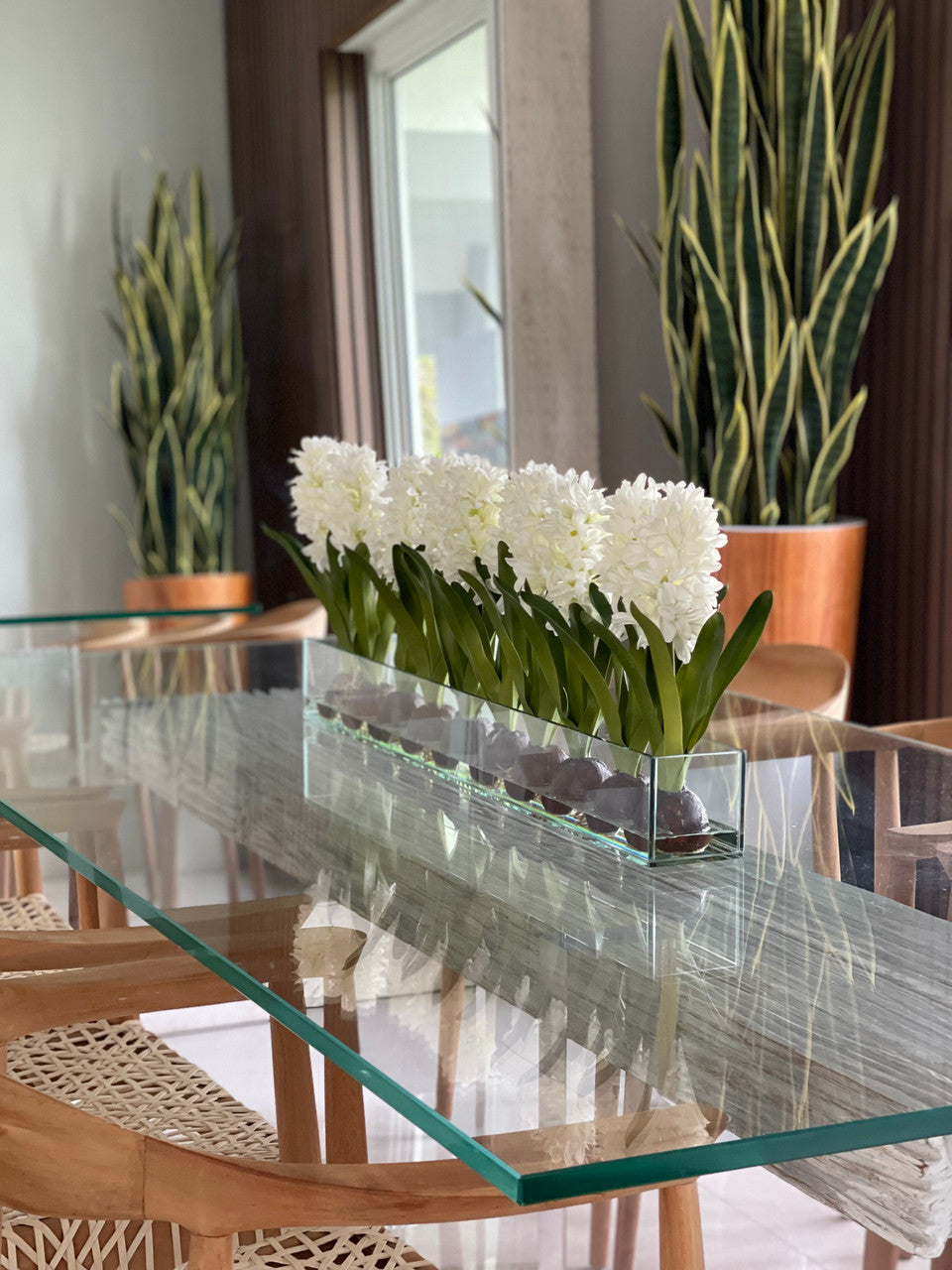 Jardinière Casa Moderna en verre de 36 po avec jacinthes blanches