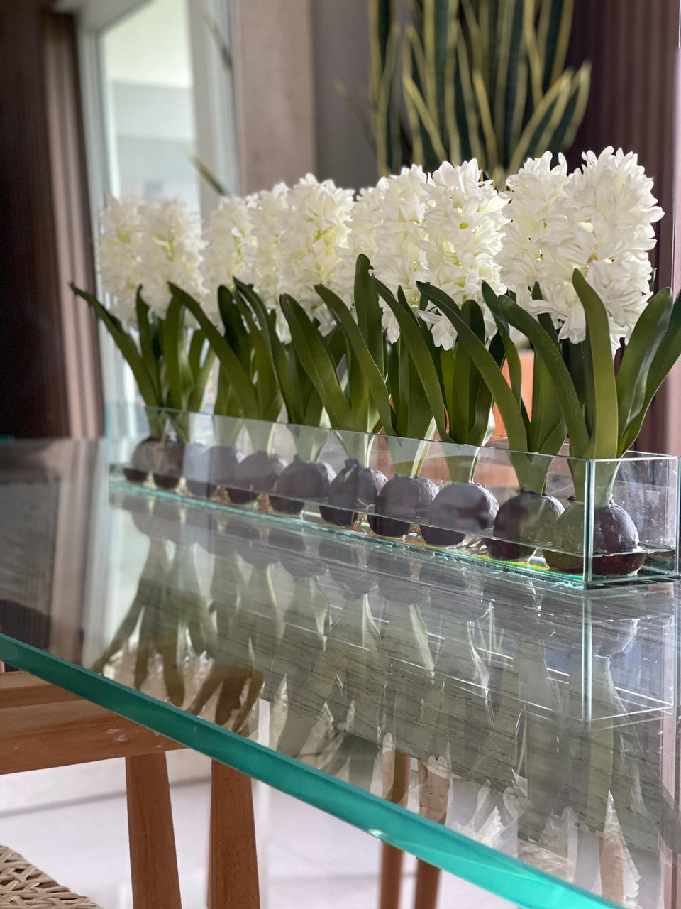 Jardinière Casa Moderna en verre de 36 po avec jacinthes blanches