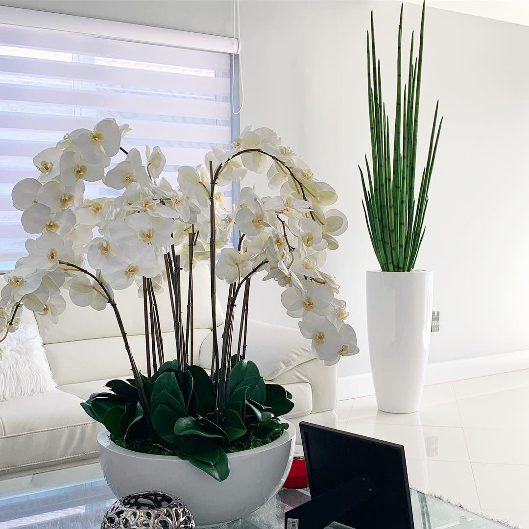 Snake grass (63″) with Dax L planter in glossy white