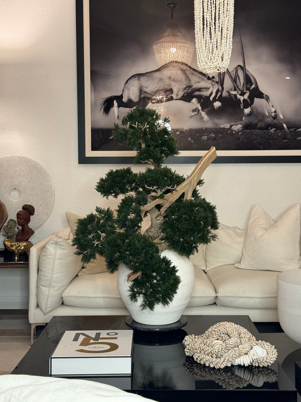 Konos Vase with Semi cascade Bonsai style (Han-kengai)