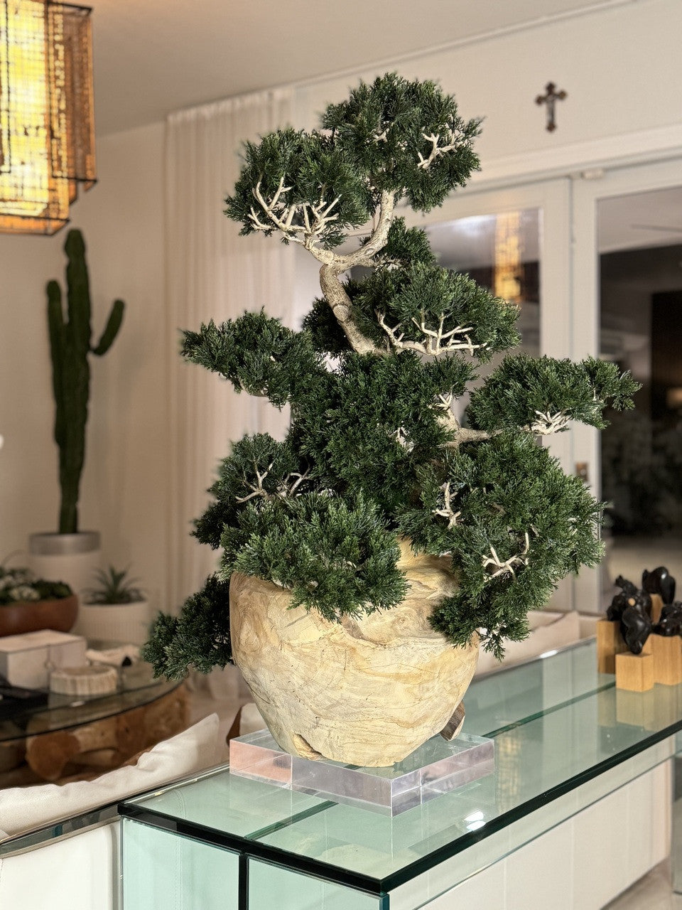 Teak Vase with Semi cascade Bonsai