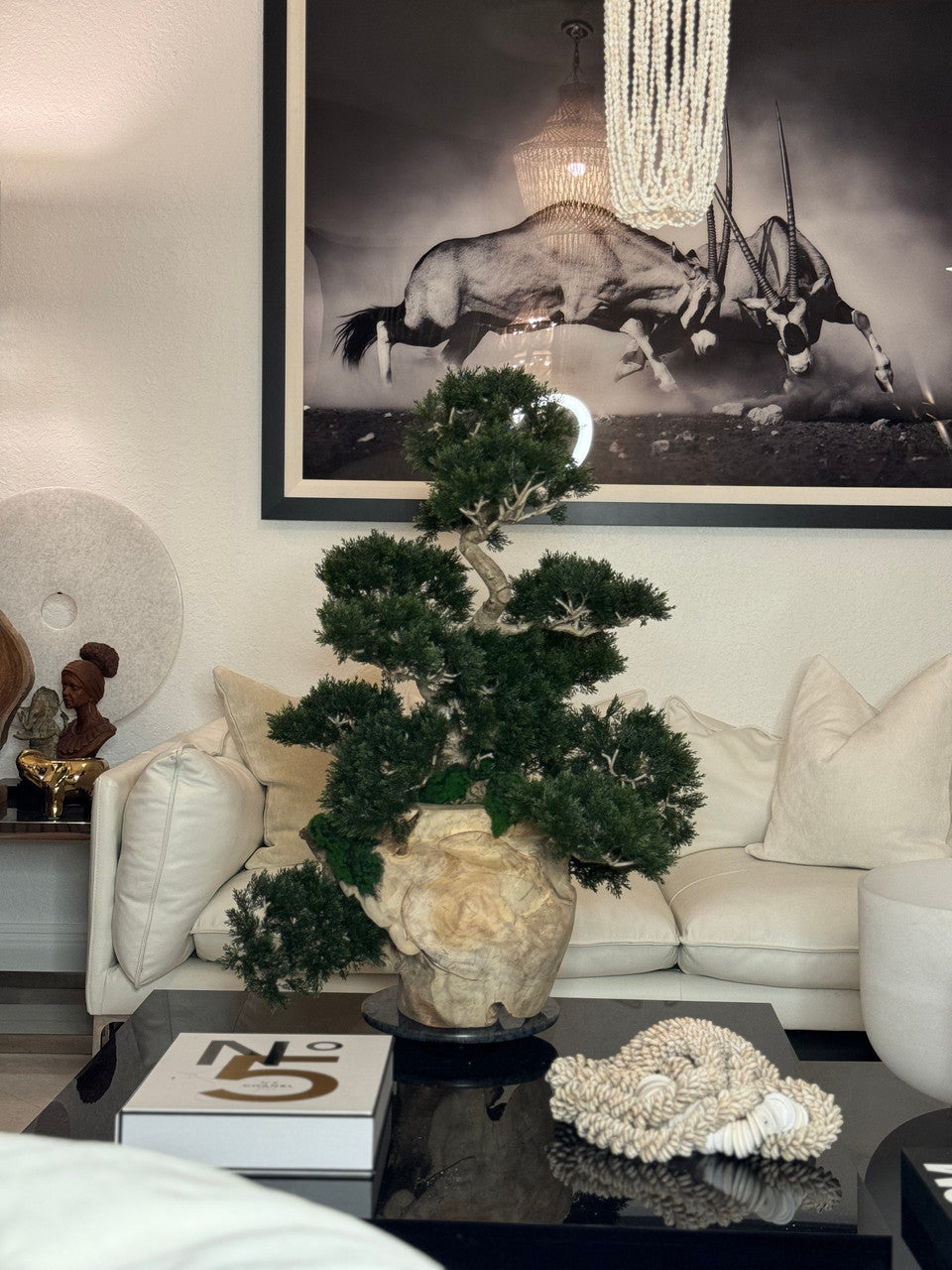 Teak Vase with Semi cascade Bonsai