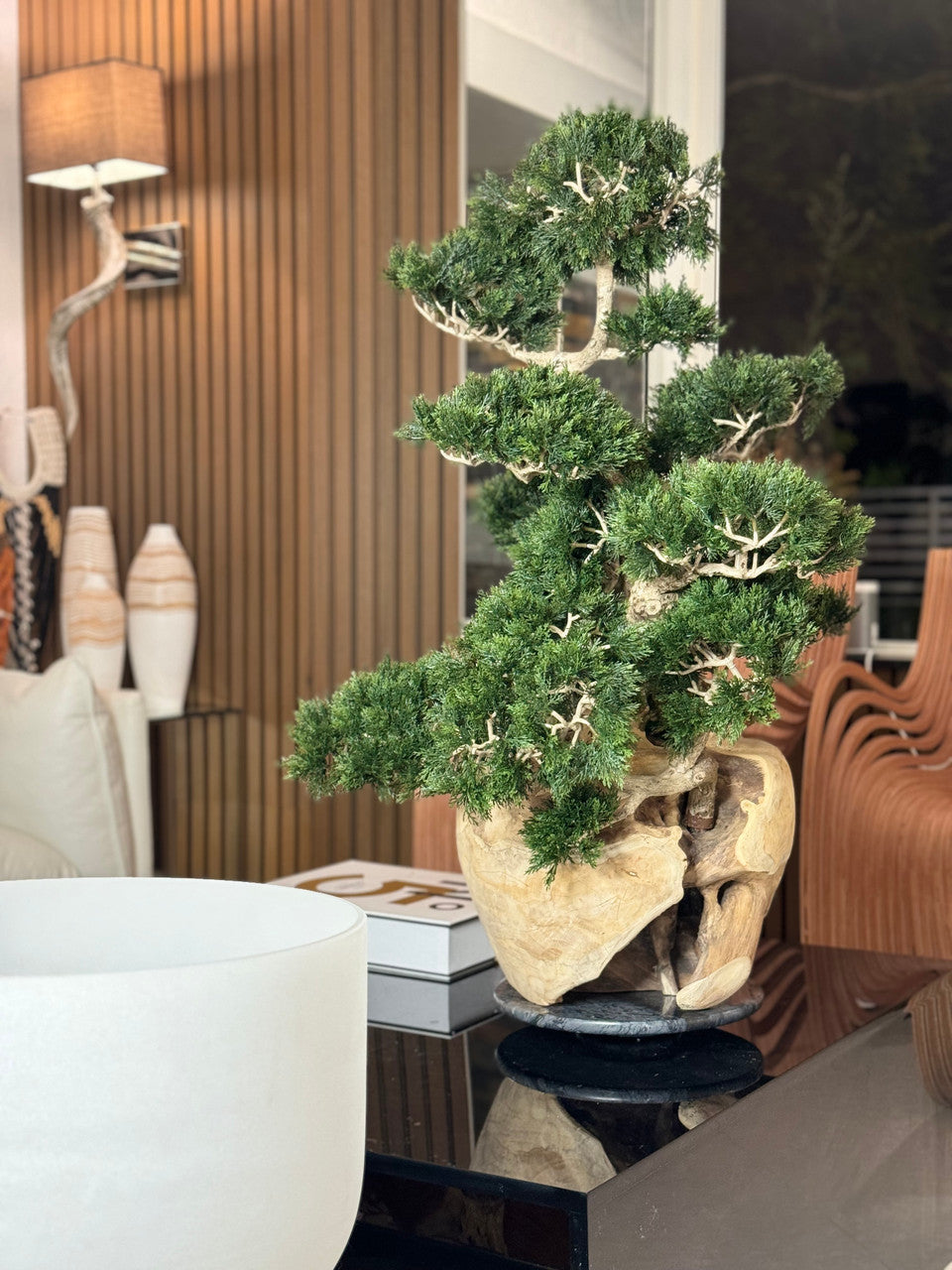 Teak Vase with Semi cascade Bonsai