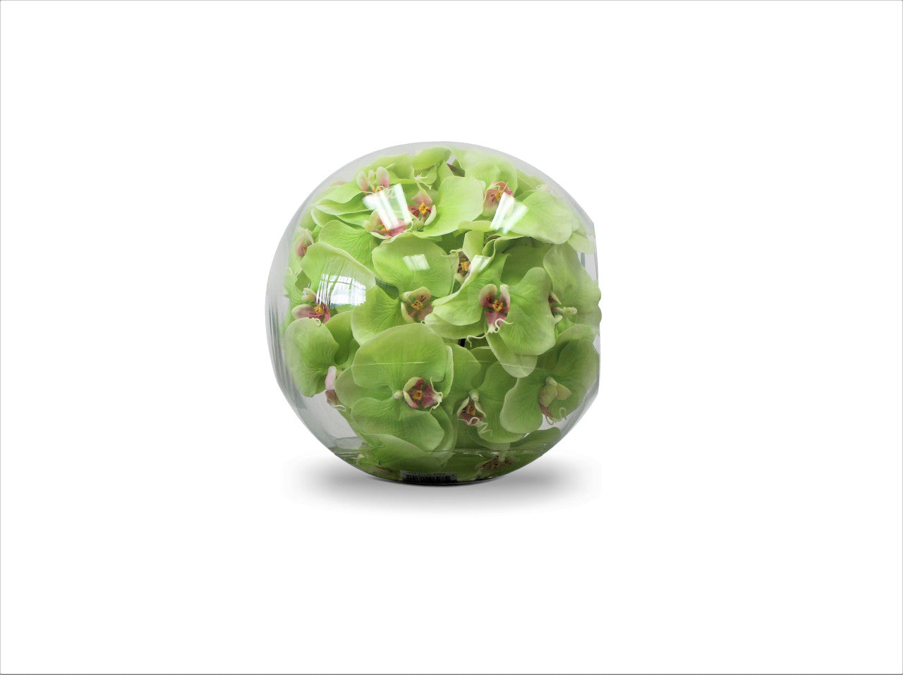 Vase Crosswinds de 30 cm avec orchidées vertes