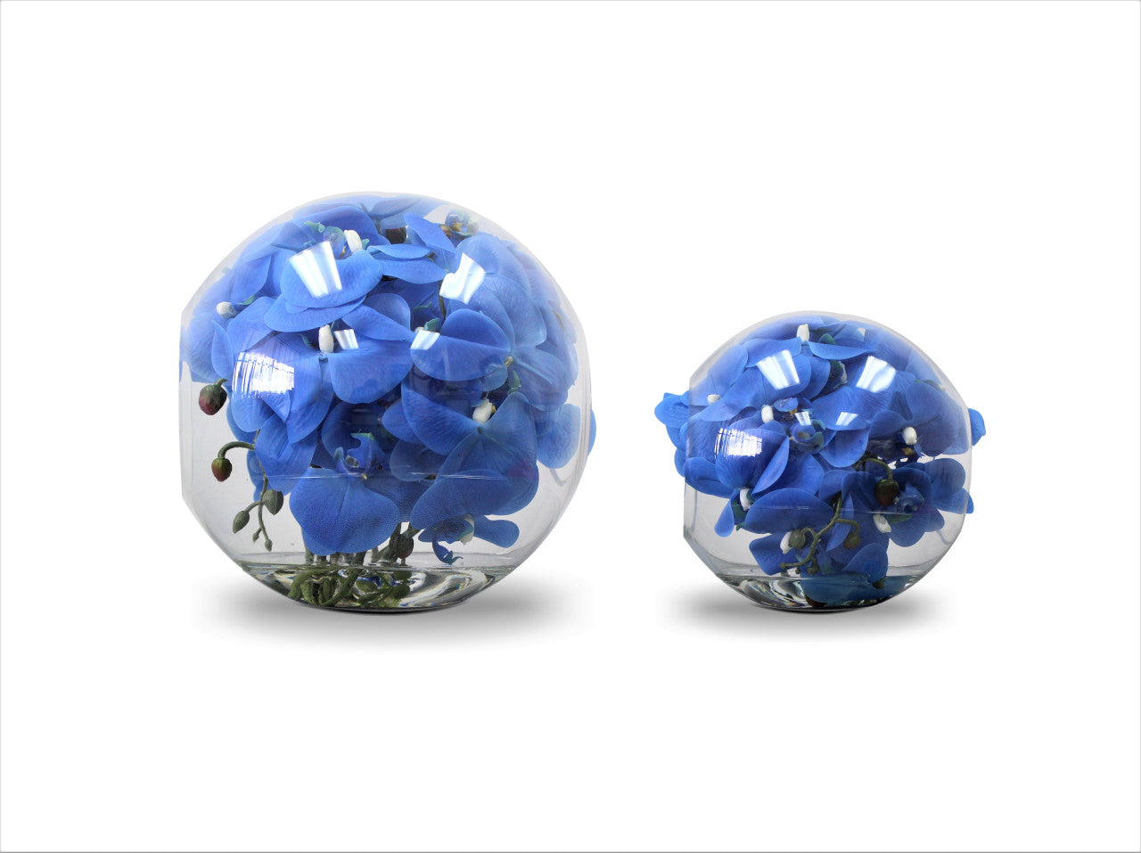Vase Crosswinds de 30 cm avec orchidées bleues