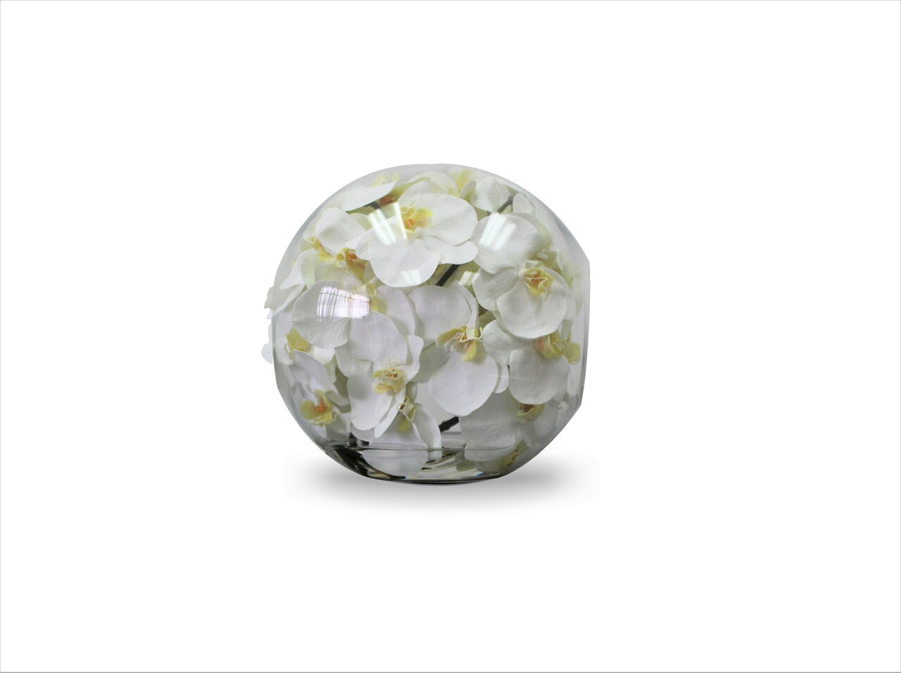 Vase 12″ Crosswinds avec orchidées blanches (Rupture de stock)