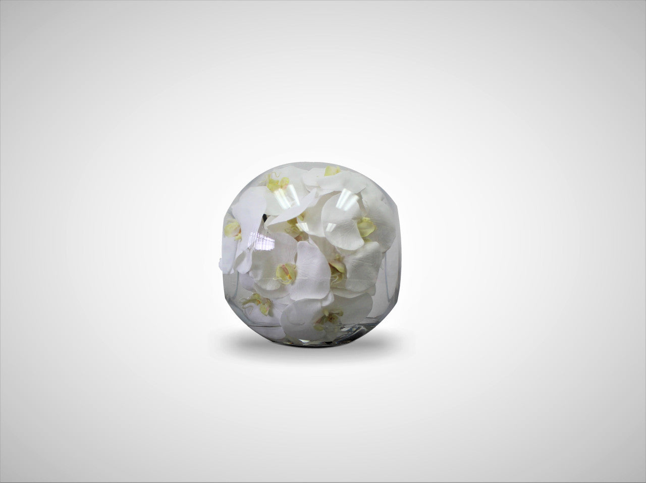 Vase 10″ Crosswinds avec orchidées blanches