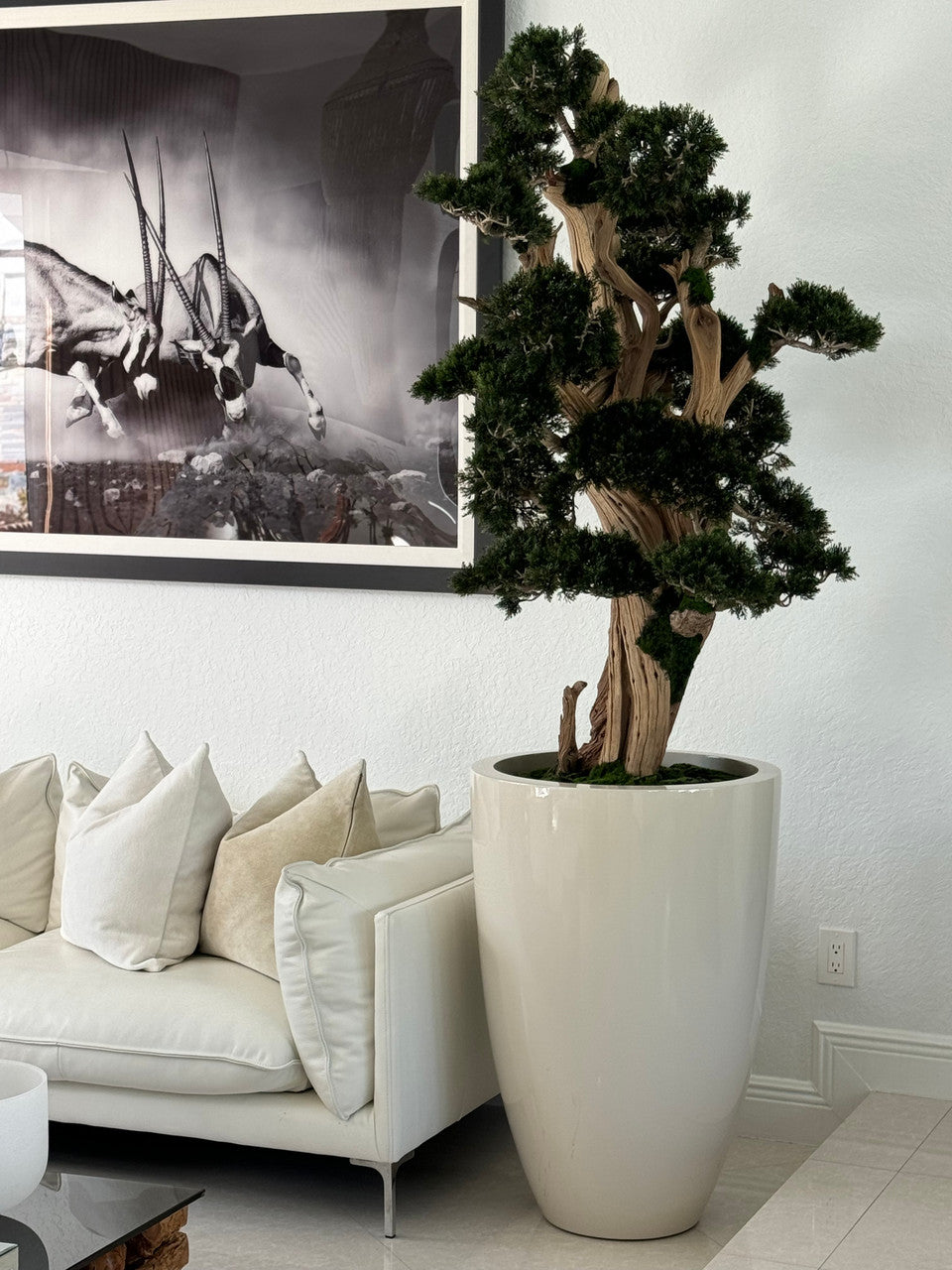 Teak Vase with Semi cascade Bonsai