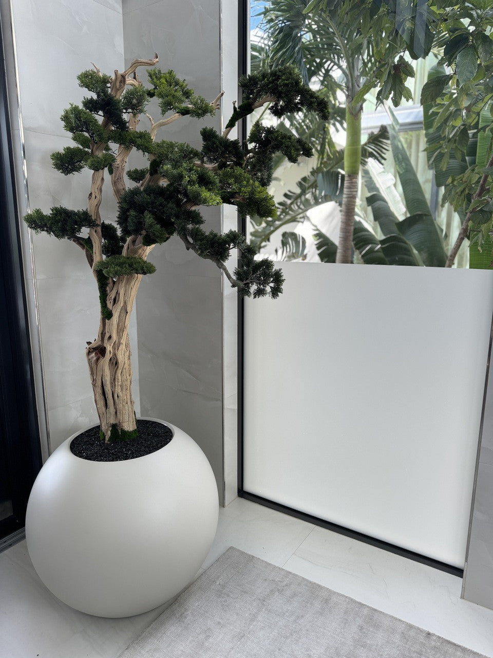 Trailing Bonsai in 30″ Satin Beige Globe