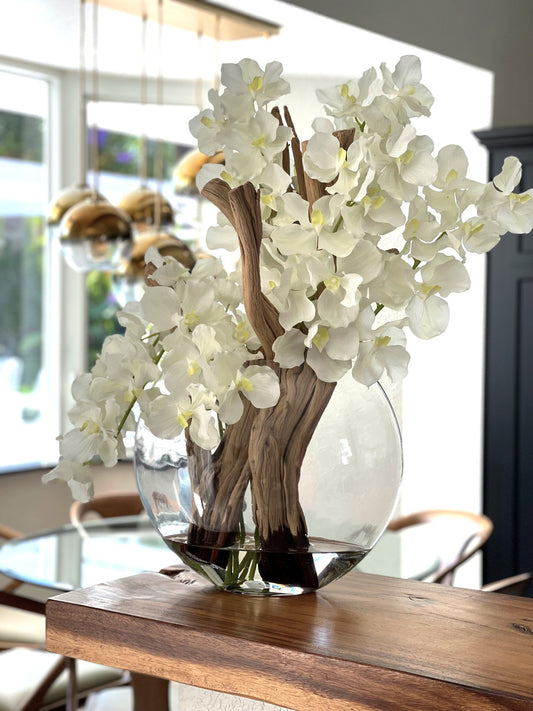 Vase Lune 16″ avec orchidées Vanda blanches