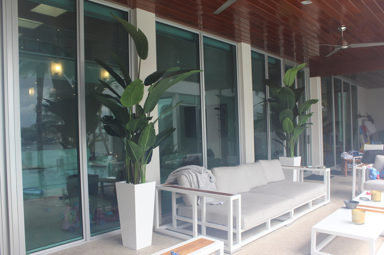 9 ft Bird of Paradise with Medium Beau Planter in Glossy White