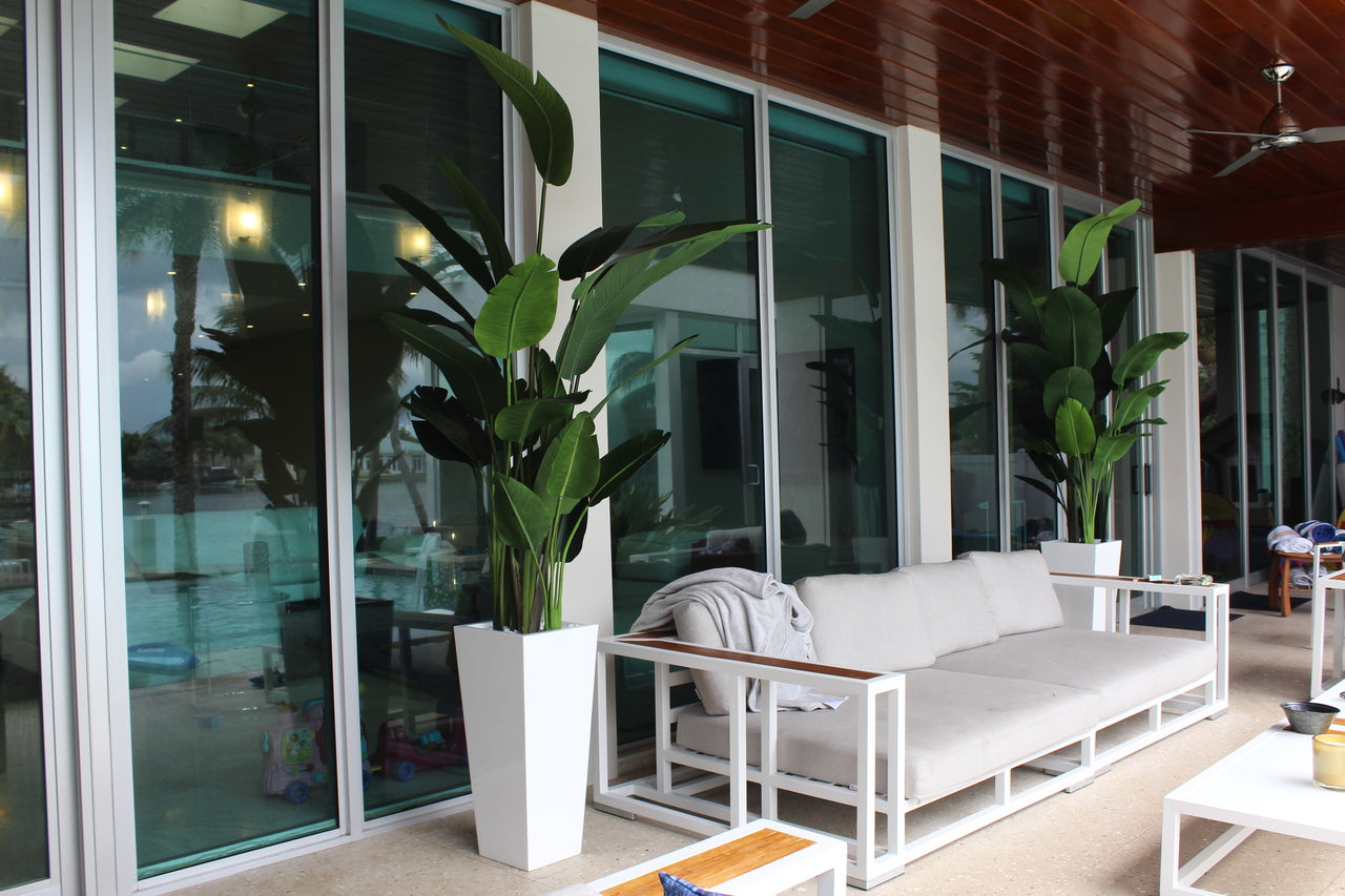 9 ft Bird of Paradise with Medium Beau Planter in Glossy White